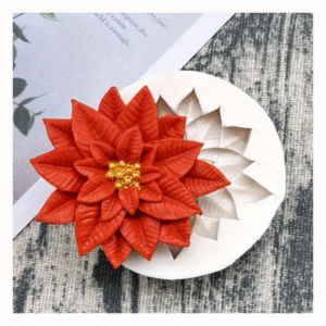 M01 - Flor de pascua