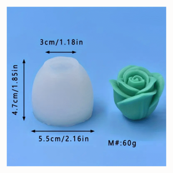 M191 Rosa 5 - Image 2