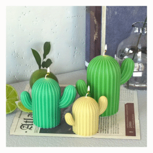 Set de 3 cactus